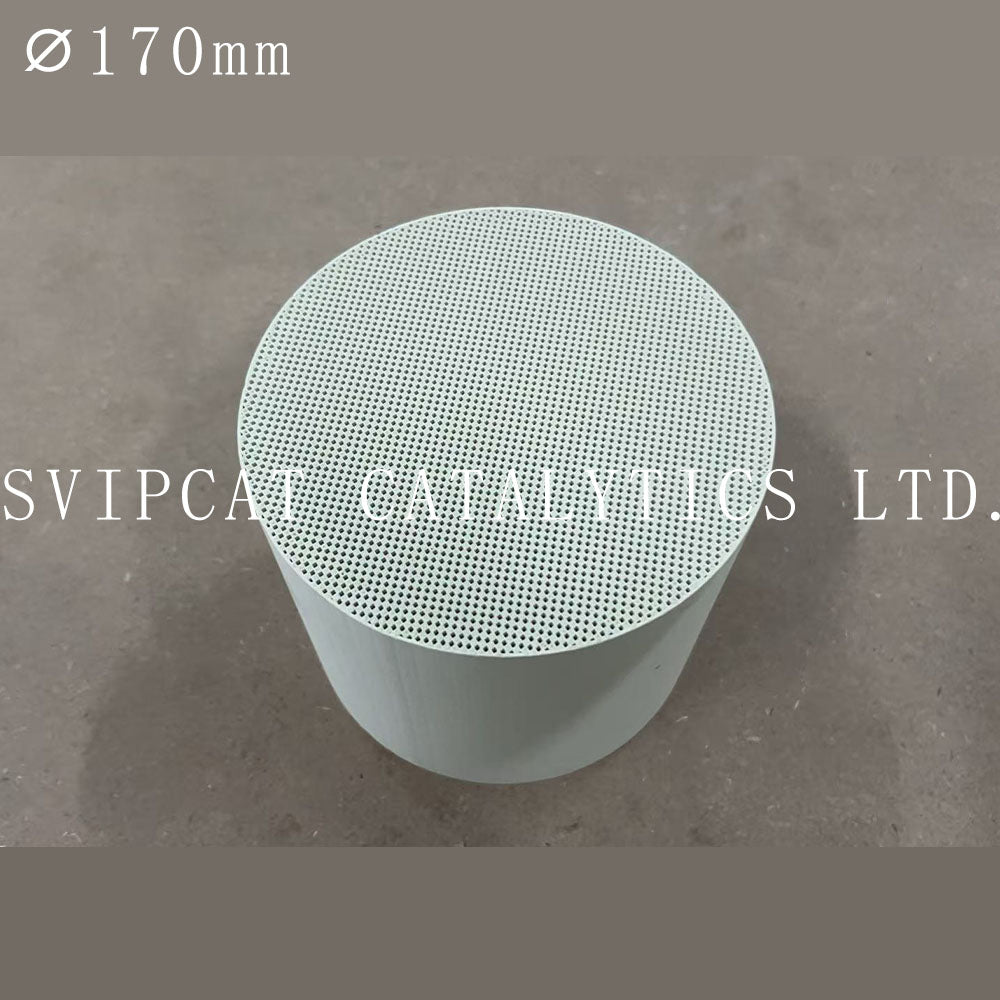 GPF/OPF Filter for Gasoline Vehicles 170mm