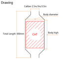 300mm Length Catalytic Converter